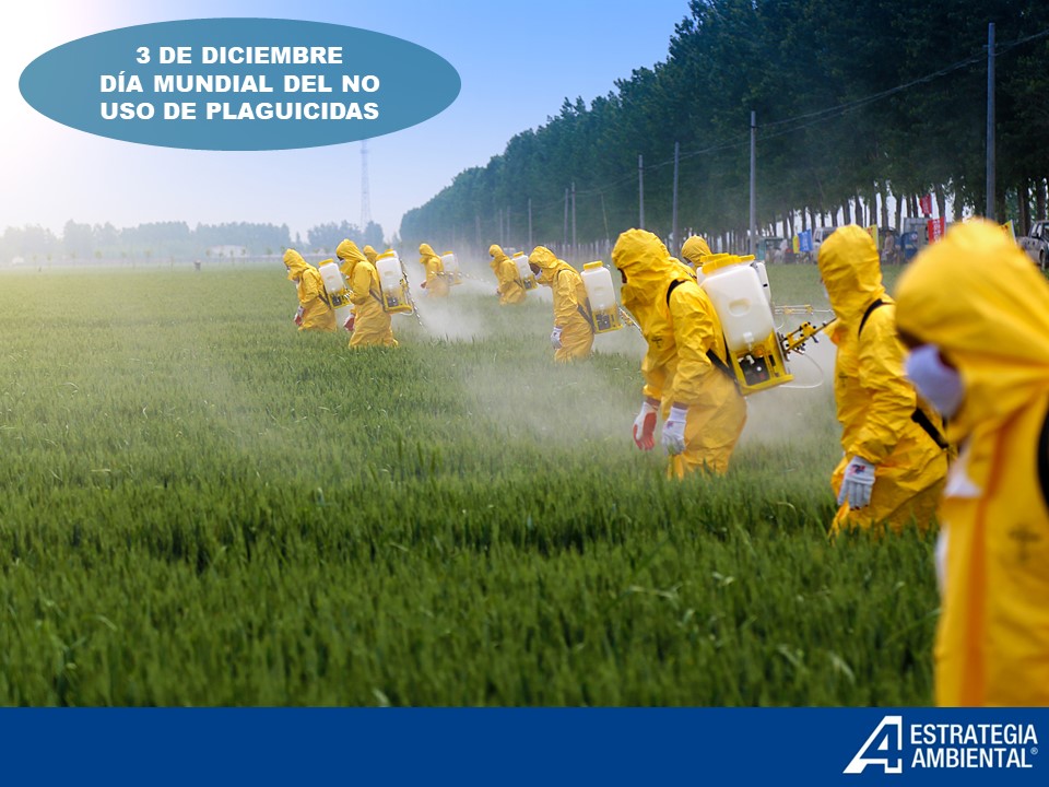 DIA MUNDIAL DEL NO USO DE PLAGUICIDAS