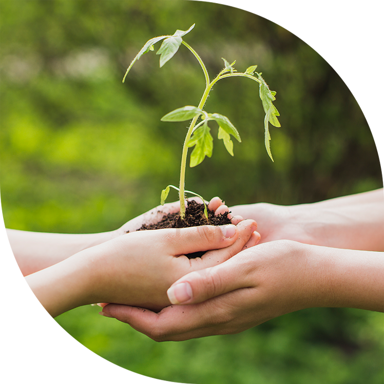 Gestión ambiental